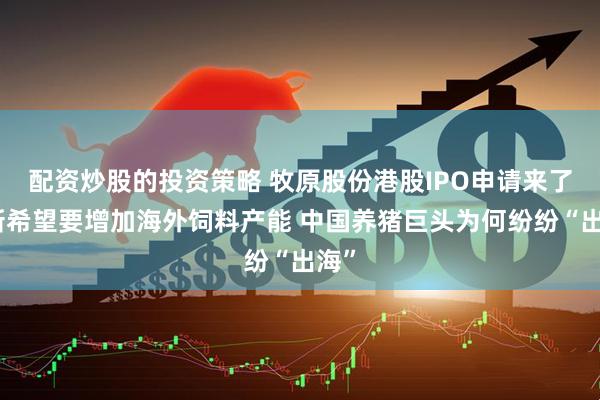 配资炒股的投资策略 牧原股份港股IPO申请来了、新希望要增加海外饲料产能 中国养猪巨头为何纷纷“出海”